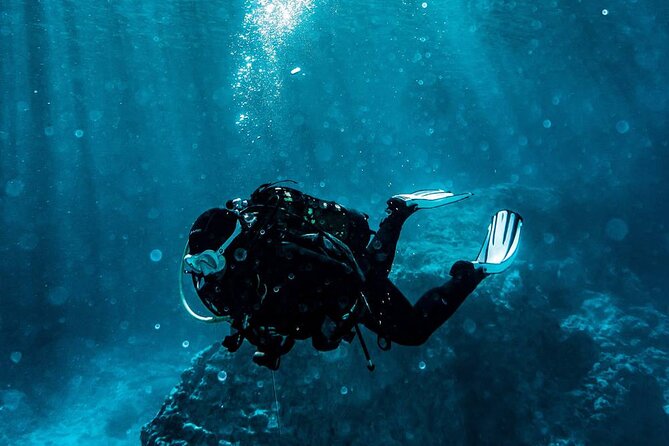 Kusadasi Scuba Diving Tour By Local Experts - What You See Below the Surface