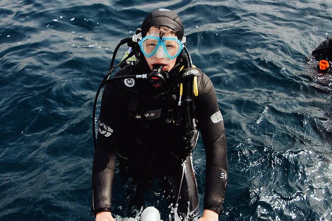 Kusadasi Scuba Diving Tour By Local Experts - Lunch and Time to Reset on Board