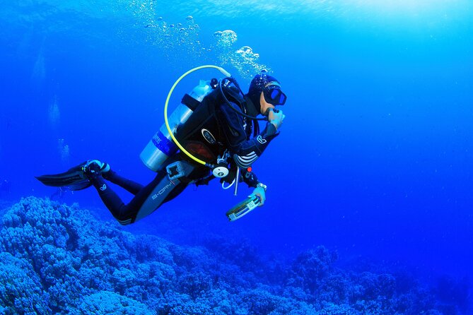 Kusadasi Scuba Diving Tour By Local Experts - Bringing Family and Friends Who Do Not Scuba