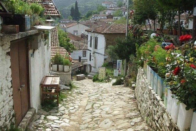 Kusadasi Shore Excursion: Private Full-Day Tour to Ephesus, Didyma and Miletus - Lunch, entrance fees, and the true price