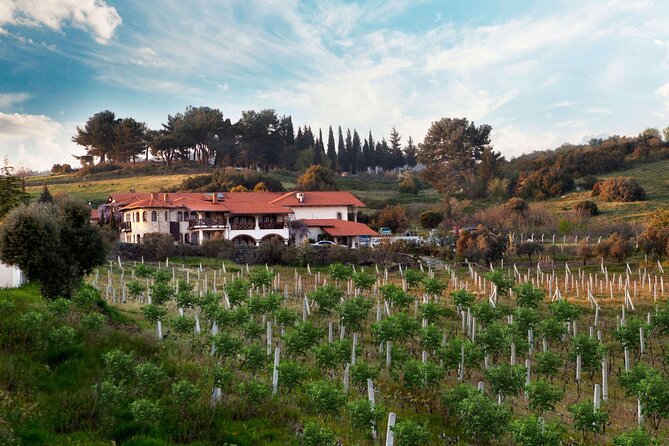 Kusadasi Shore Excursions Ephesus and Wine Tasting Tours - Guide quality can shape the whole day