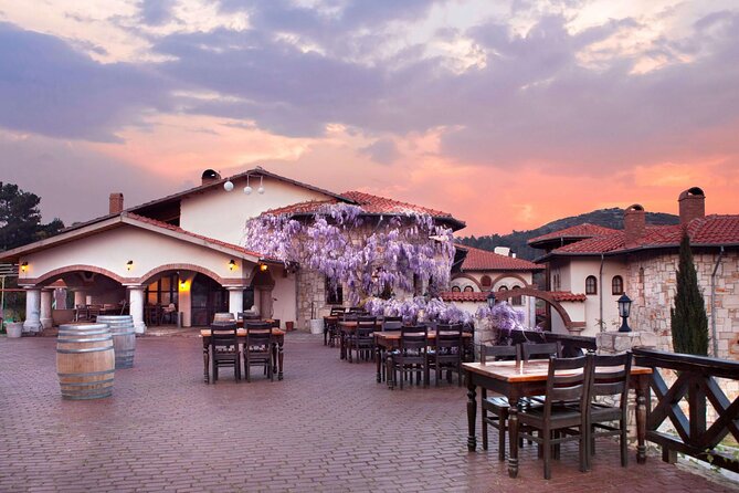 Kusadasi Shore Excursions Ephesus and Wine Tasting Tours - A Turkish lunch in Selcuk, with a cultural stop attached