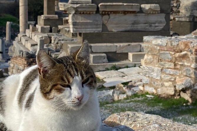 LESS Walking Tour : Private Ephesus, House of Virgin Mary, Temple - Meeting your guide at Kusadasi Port