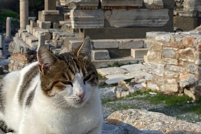 NO HIDDEN FEES : Ephesus, Virgin Mary's House, St. John Basilica - Should you book it?