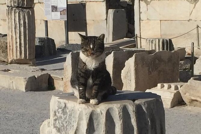NO HIDDEN FEES Private Ephesus with skip the line tickets - Transport, timing, and the no-hidden-fee promise