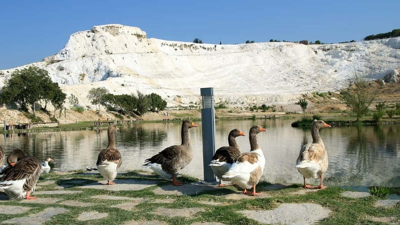 Pamukkale and Hierapolis: Full-Day Private or Group Tour - Guide style and group expectations