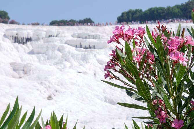 Pamukkale Day Tour from Selcuk - The early start and ride from Selcuk