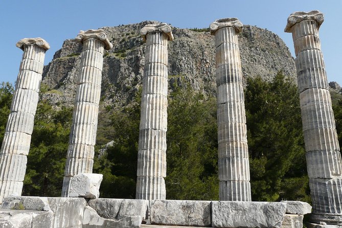 Priene Miletos Didyma (PMD) Tour From Kusadasi Port / Hotels - Lunch gives the day a needed pause