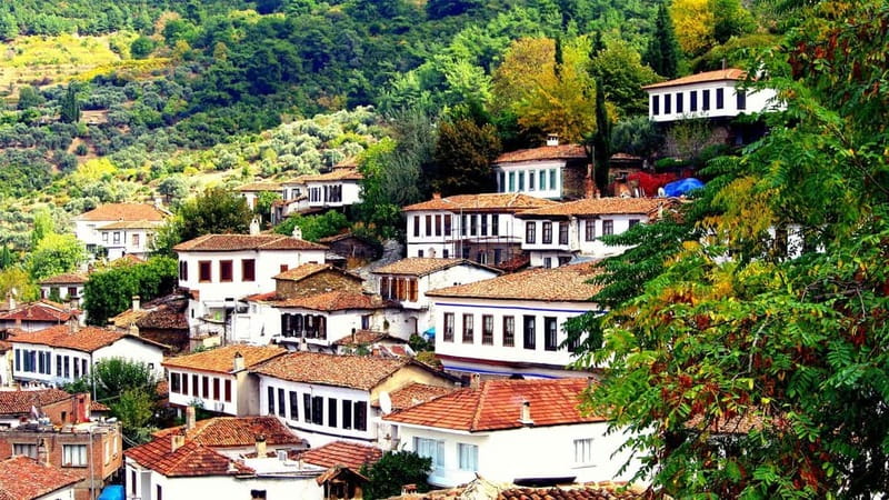 Private Ephesus and Sirince Village Tour Cruiser Only - Ephesus: two hours among the great ruins