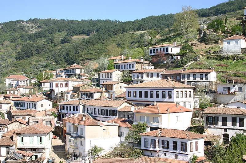 Private Ephesus, Terrace Houses & Sirince Village Tour - Walking through Ephesus in two focused hours