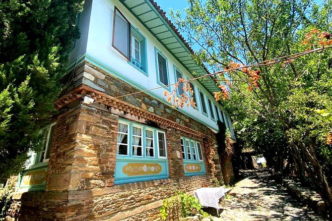 Private Ephesus Tour & Cooking Class in Village - Who will enjoy this Ephesus and cooking day?