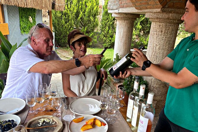Private Ephesus Tour & Wine Tasting & Mediterrranean Lunch - Is $169 a fair price?