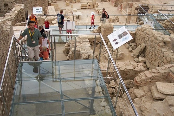 Private Guided Ephesus, Terraced House & Temple of Artemis - Timing Your Morning or Afternoon Departure