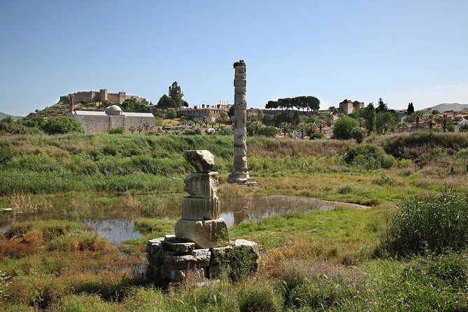 Private Tour: Best of Ephesus for Cruise Passengers. - A short final stop at the Temple of Artemis