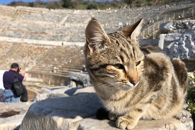 Private Tour : Biblical Ephesus Tour for Cruisers from Kusadasi ( Ephesus ) Port - St. John’s Basilica and the Christian story