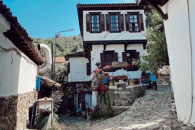 Private Tour of Ephesus, Artemis Temple and Sirince Village - Should you add the Terrace Houses?