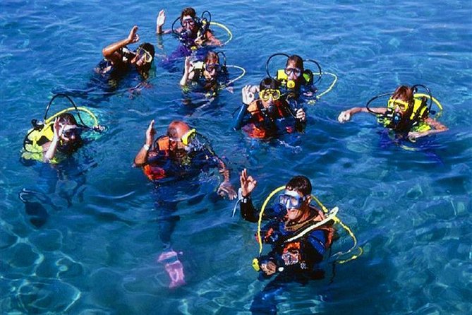 Scuba Diving Tour From Kusadasi / Selcuk - A first underwater look from Kusadasi