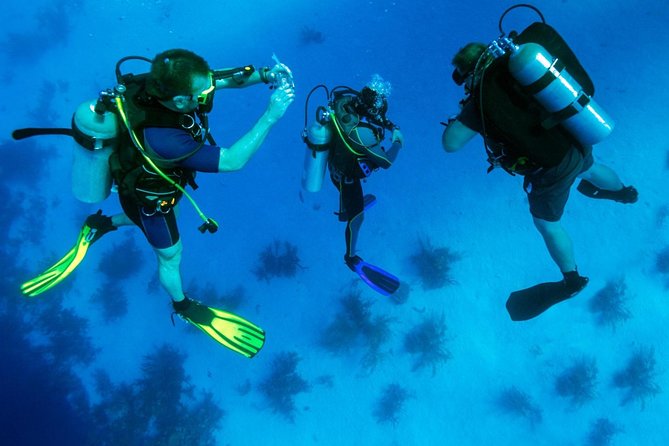 Scuba Diving Tour From Kusadasi / Selcuk - The 25-minute underwater session