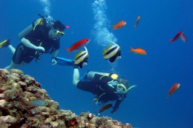 Scuba Diving Tour From Kusadasi / Selcuk - Snorkeling and sun on the boat