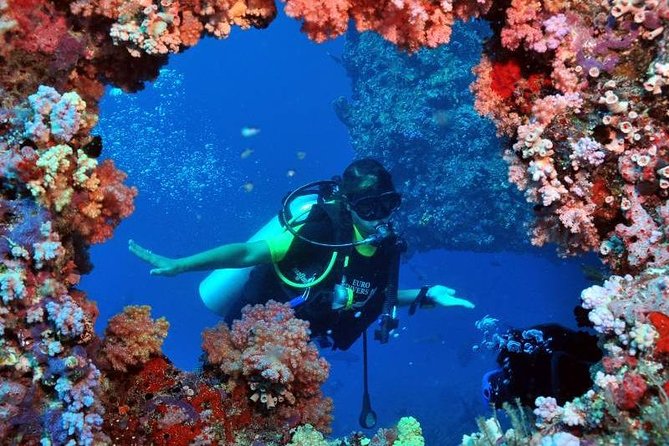 Scuba Diving Tour From Kusadasi / Selcuk - Timing for a day based in Kusadasi or Selcuk