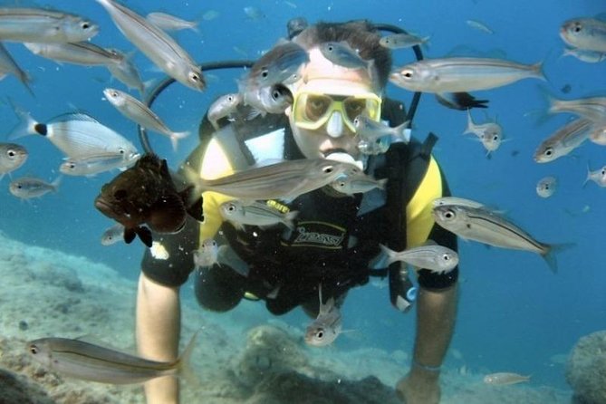Scuba Diving Tour From Kusadasi / Selcuk - The staff and safety approach