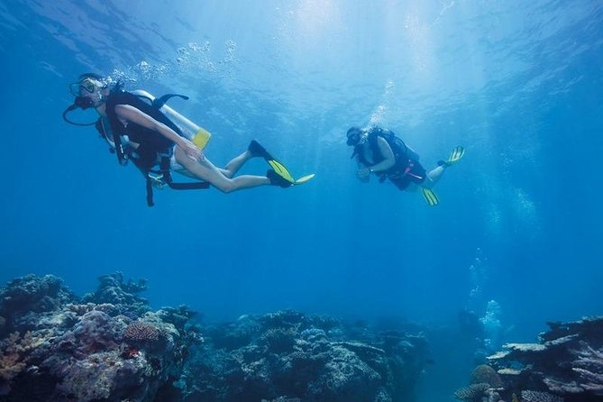 Scuba Diving Tour From Kusadasi / Selcuk - Who will enjoy this trip most