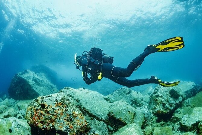 Scuba Diving Tour From Kusadasi / Selcuk - What happens before you enter the water